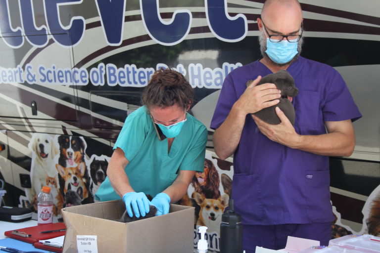 ElleVet Project gives free medical care to pet owners experiencing homelessness