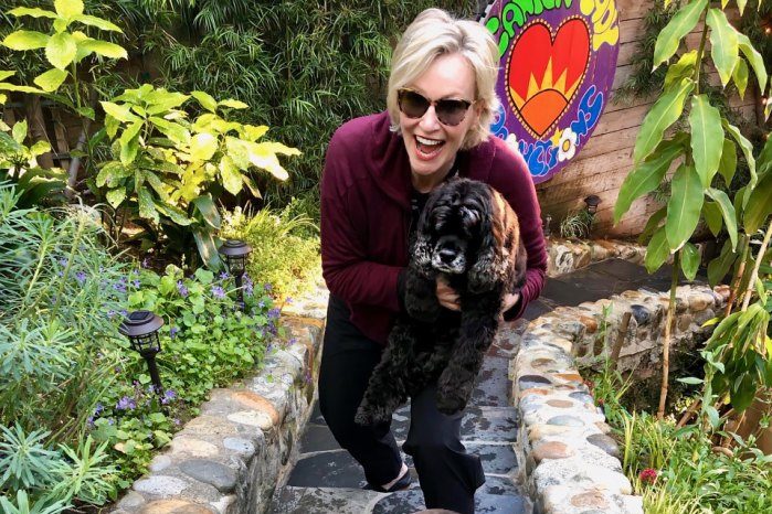 Inside Jane Lynch’s ‘Really Tight Relationship’ With Her Dogs Amid Quarantine – AOL