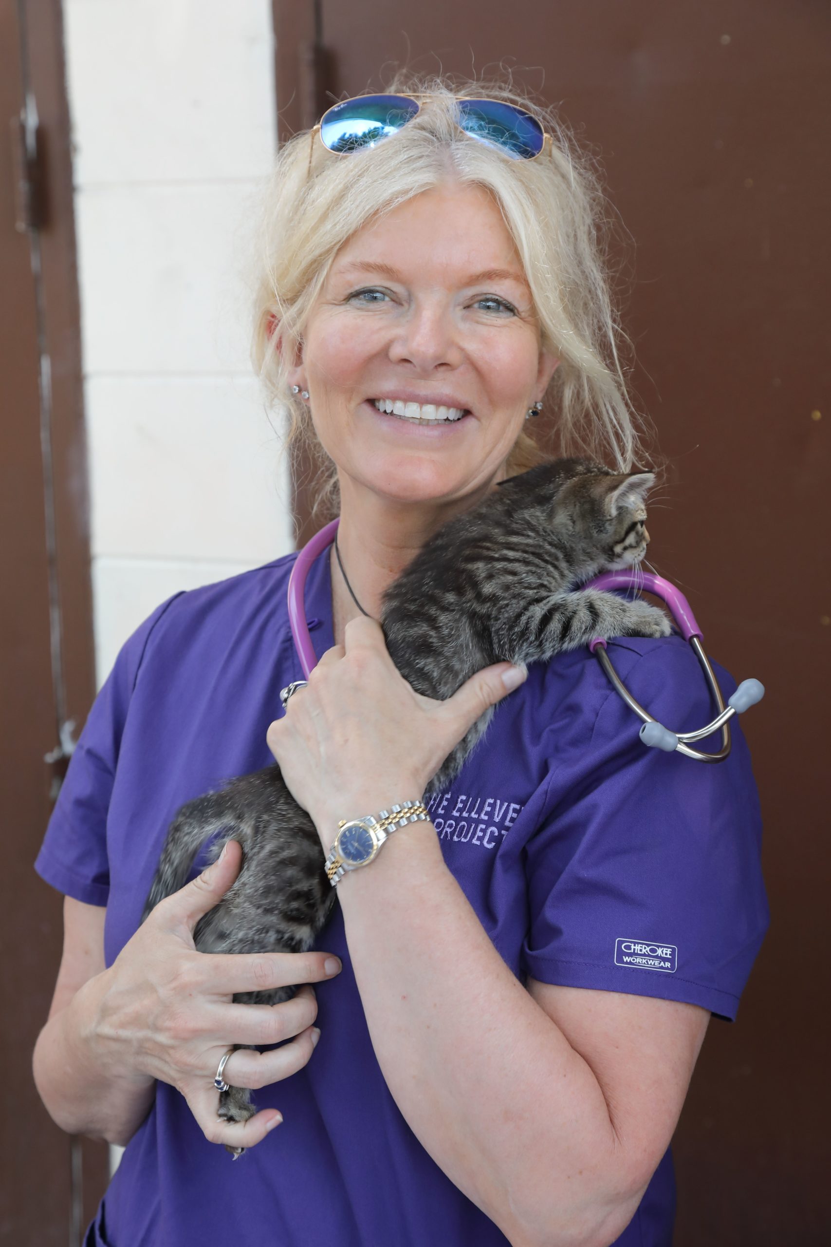 Mobile Vet Clinic helps atrisk pets Ellevet Project
