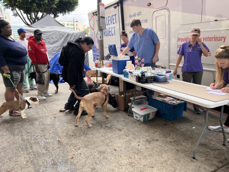 Homelessness and Pet Ownership: The ElleVet Project Offers Much Needed Medical Care to Vulnerable Pets – yahoo.com